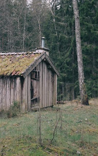 Del av en gammal stuga tillhörande en kvarn intill en å och i bakgrunden skog.