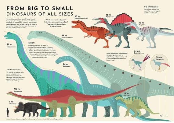 From big to small - dinosaurs of all sizes. Infographic used with permission from Visual Capitalist.