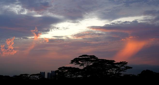 Sunset light catches rain.