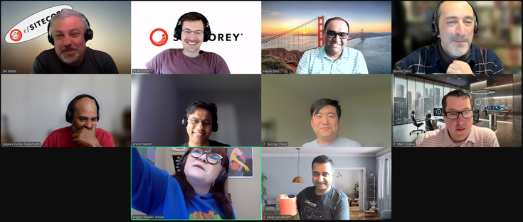 Screenshot of attendees on the April 25, 2025 #SitecoreLunch call.