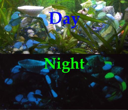 Day and night views of aquarium ornaments highlighting their glow in the dark effects