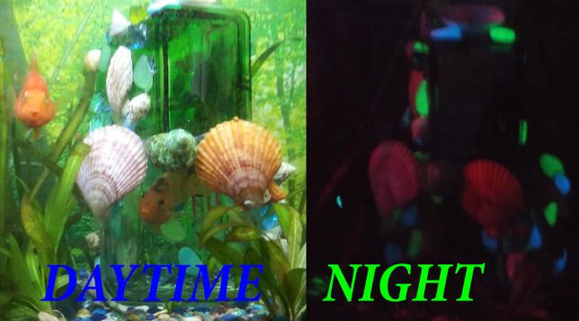 Day and night views of aquarium ornaments highlighting their glow in the dark effects