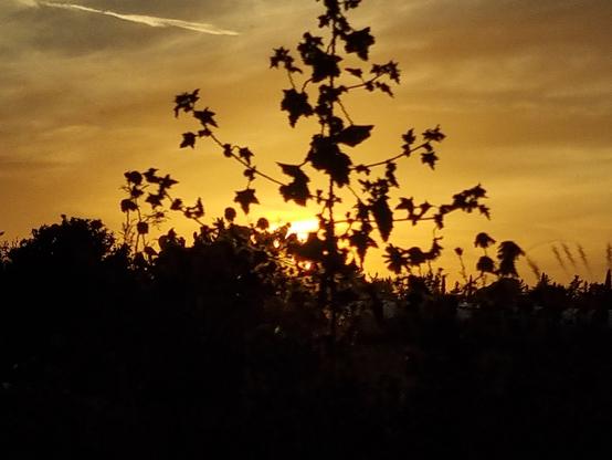 Sole al tramonto colora di ambra l'orizzonte, mentre si nasconde e lascia tutto alle ombre