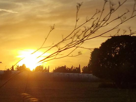 Sole al tramonto colora di ambra l'orizzonte, mentre si nasconde e lascia tutto alle ombre