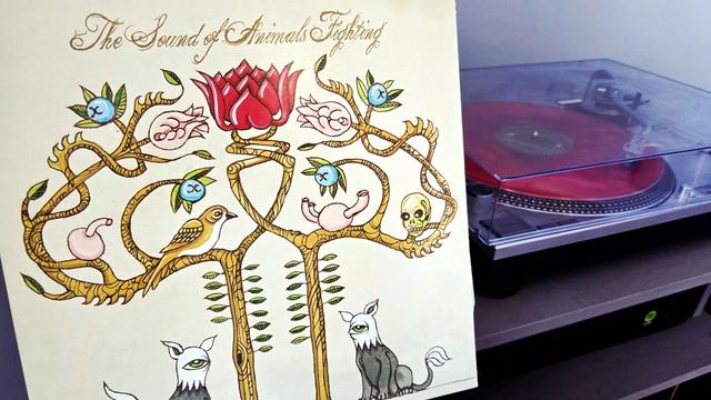 Red vinyl of Tiger and the Duke