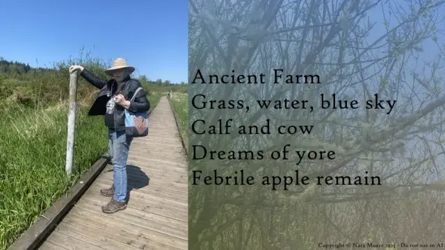Left woman in black leather jacket and floppy hat, stands with one hand on metal post. She is standing on a wood walkway that passes through a marsh.
Right. Poem on background of ferile apple trees covered in lichen.