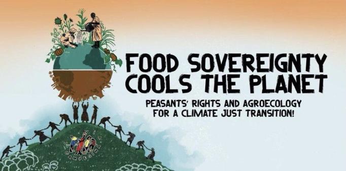 🌍 Food Sovereignty Cools the Planet. Peasants Rights and Agroecology for Climate and Social Justice NOW !
 #ClimateJustice #SocialJustice  #ClimateEmergency #ClimateActionNOW  #FoodSovereigntyNOW #FoodSovereignty #PeasantsRightsNOW #PeasantsRights #PeasantAgroecologyNOW #Agroecology   #AgroecologyNOW #UNDROP