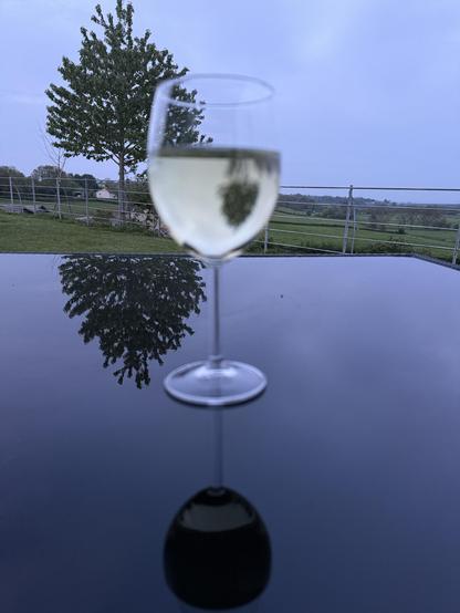 A wine glass filled with a medium sweet white wine sits atop a black glass table. The glass is reflecting onto the table and the tree out of shot can also be seen reflecting onto the glass. In the background a patch of grass can be seen surrounded by fencing with a view across flat wetlands stretches out ten miles and beyond.