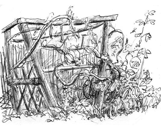 In the garden