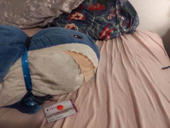 A shark lying on a bed showing its +Renfe&tú card
