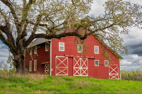 A large red barn with white trim and double doors, set against a grassy field and a cloudy sky. A large tree with bare branches is in the foreground.