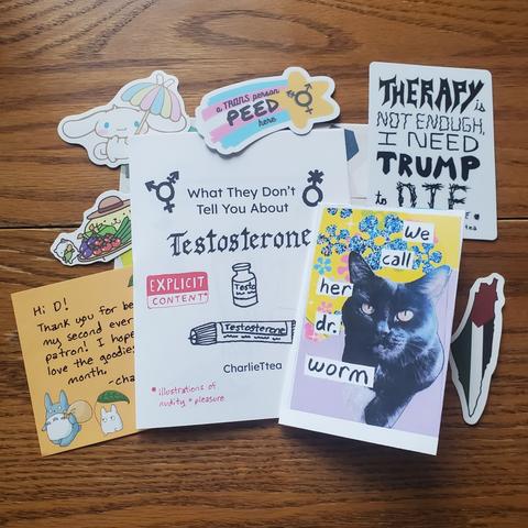 This photo and the second photo contain the same items, they are just arranged on the table in differently. From largest to smallest, there is a quarter page size zine titled, "what they don't tell you about testosterone." There is a mini zine titled, "we call her dr. worm," and it features a photo of Kira, a black cat. There is a sticker with black text in various hand drawn fonts that says, "therapy is not enough, I need Trump to die." There is a shooting star sticker whose tail is the trans pride flag with text that says, "a trans person peed here." There is also a thank you note and a couple random freebie stickers with each order.