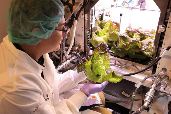PH-07_Ground_Ops_Harvest_(KSC-20250424-PH-KLS01_0023).jpg