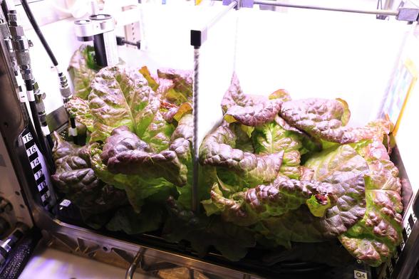PH-07_Ground_Ops_Harvest_(KSC-20250424-PH-KLS01_0007).jpg