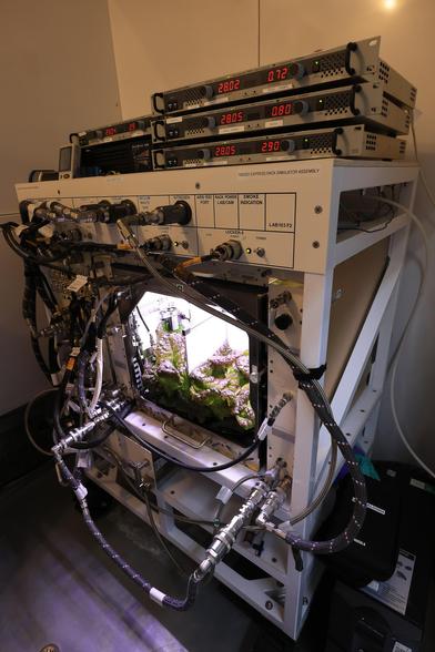 PH-07_Ground_Ops_Harvest_(KSC-20250424-PH-KLS01_0005).jpg