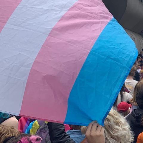 trans flag at Pride march