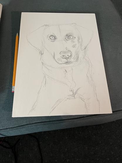 Rough sketch of Labrador Retriever on gessoed wood panel with a pencil laying on the surface beside the panel.