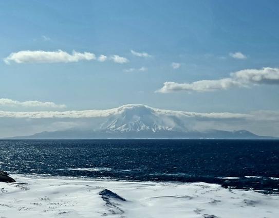 20250224_131323 Soya line Agnes Tandler