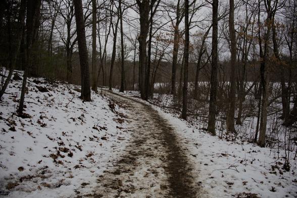 A winter forest scene featuring a snow-covered dirt path winding through leafless trees. The snow is partially melted and trampled, revealing patches of mud and dead leaves. The trees are bare, and the overcast sky gives the photo a muted, subdued atmosphere. The image has been slightly edited for contrast.
