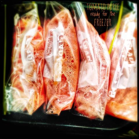 Bags of puree ready for the freezer.