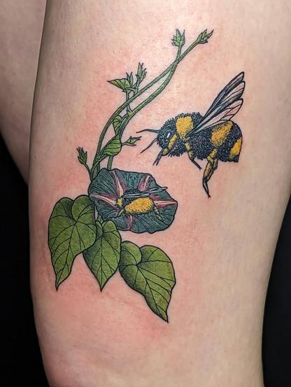 A colorful tattoo above the knee. Three yellow -lime green heart-shaped leaves connect to a vine that crawls a bit up the leg. Above the three leaves is a morning glory flower in partially bi pride colors with the 5-petal grooves being dark pink and white. The 5-point contrast evokes both pentacles (due to being circumscribed) and the pentagram (because of direction). A cute and thicc bumblebee butt sticks out of the flower, and importantly two little leg stubs stick out as well. Another bee also colored beautifully in black and yellow is hovering nearby. This bee is parsing the scene and deciding how to approach it.