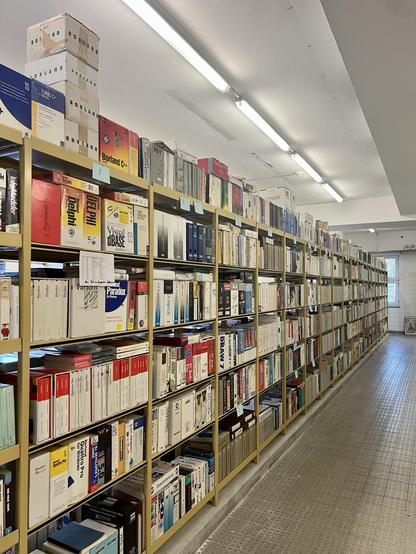 The image features a long aisle lined with shelves filled with various software boxes, many of which are vintage. The boxes display colorful designs and logos, suggesting they are from different programming or software products. The setting is well-lit and appears organized, emphasizing the