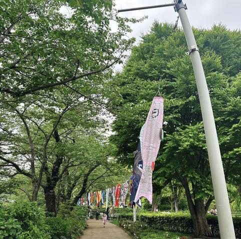 Koinobori blowing in the wind at Tokyo Midtown