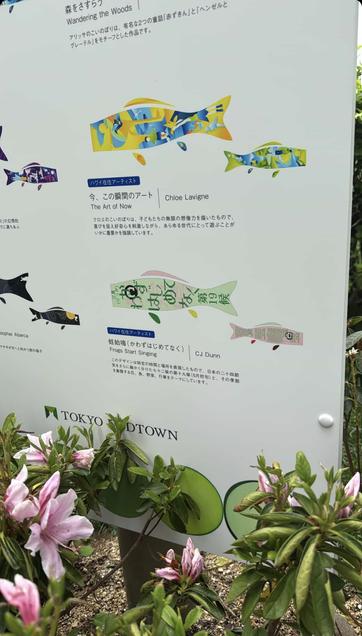 Diagram showing koinobori designs