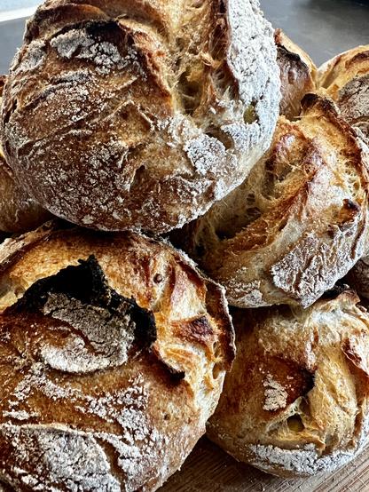 Auf einem dunklen Holztisch liegt ein Holzbrett. Darauf liegen zahlreiche frisch gebackene Brötchen mit rustikalem Ausbund.