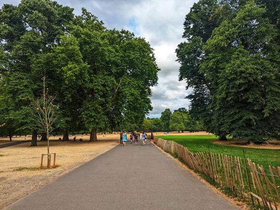 A slightly low-angle shot shows a paved path stretching into the distance, flanked by large, leafy trees. A group of six people stroll away from the viewer along the path. To the left of the path is a parched, sandy area with scattered trees and people relaxing. To the right, a vibrant green grassy area is enclosed by a rustic wooden fence. The sky above is overcast with patches of blue peeking through the clouds.