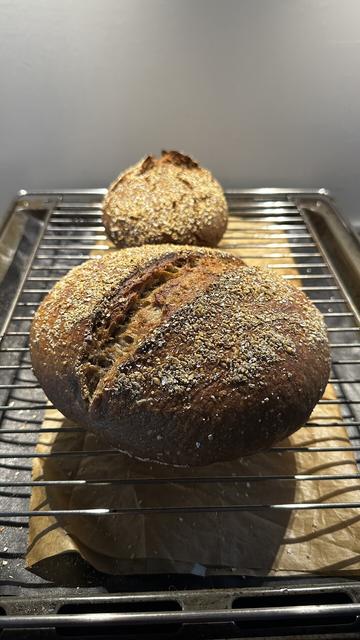 Cor dem kleinen Roggenbrot aus dem letzten Post liegt jetzt ein normal großes (500g Mehl) rundes Weizen1050-Brot, das ebenfalls mit Haferkleie bestreut ist. Es wurde vor dem Backen einmal in der Mitte eingeritzt und ist nur etwas aufgegangen.