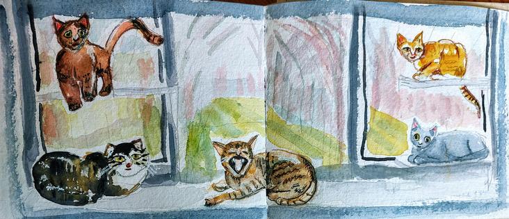 Five cats, three on cat ledges, on windowsill of window looking out onto late afternoon garden.