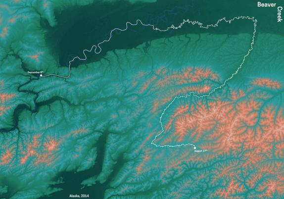green/clay coloured map of Beaver Creek, Alaska. Start and finish of a canoe tour are indicated by points