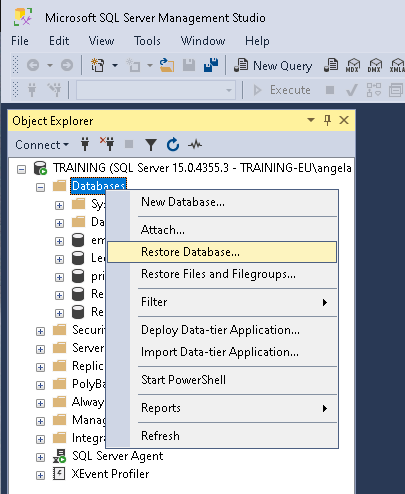 Screenshot showing the tree structure from SQL Server Management Studio with the right-click menu enhanced on "Databases" and the menu item "Restore Database..." selected.