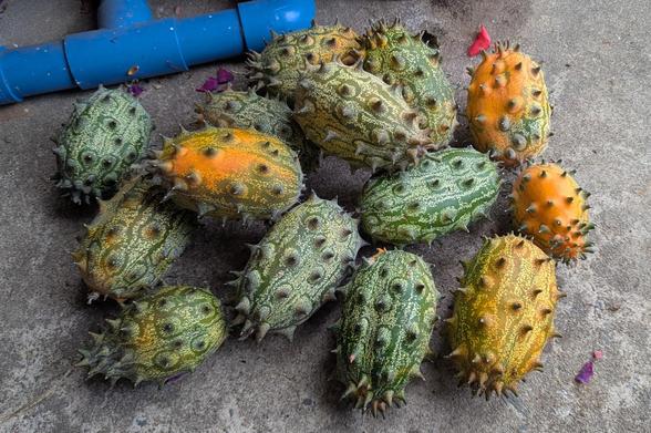 Kiwano, African Horned Melons