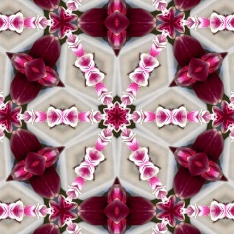 abstract six fold symmetry pattern in pink and white looks like a flower