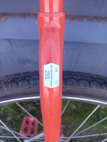 Price label on the frame saying 250
