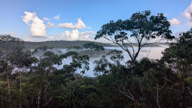 beautiful fog sitting in the valley in Berowra