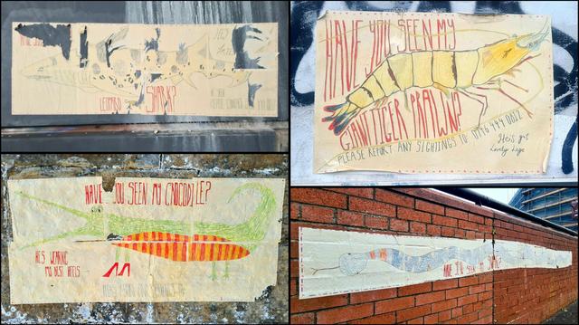 A set of four hand-drawn posters about some very unusual missing pets.