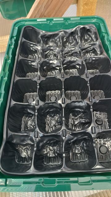 Ein schwarzes Aussaattray, das durch Wärmeeinwirkung geschrumpelt ist.