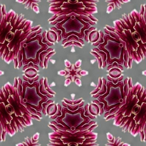 abstract pattern six fold symmetry in pinks grey and white
