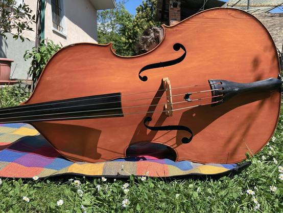 The photo shows a bass lying on a multicolored blanket on grass.