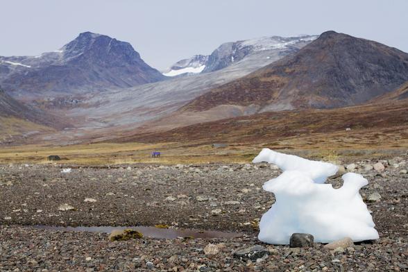 a piece of an iceberg stranded on the shore which looks like the head of a dog with mountains in the background