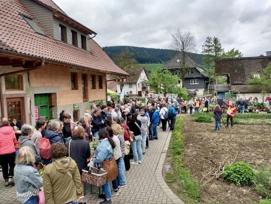 So sieht's kurz vor dem Start aus: Ca. 200 Menschen warten an den Tischen und Bänken auf den Startschuss. Auf ca. 10 Tischen und den dazugehörigen Bänken stehen jede Menge Pflanzen, die die Teilnehmer mitgebracht haben. In großen Körben und Wannen wird alles angeschleppt und man nimmt mit, was man selbst gebrauchen kann. Ziel ist der Austausch von möglichst samenfesten und einheimischen Sorten. Von Gemüse über Beeren bis hin zu Zierpflanzen ist alles dabei. Links ist das Gebäude des Biohofes, rechts ist ein noch nicht bepflanztes Feld, im Hintergrund Häsuer des Dorfes und ein Blick Richtung Schwarzwald.