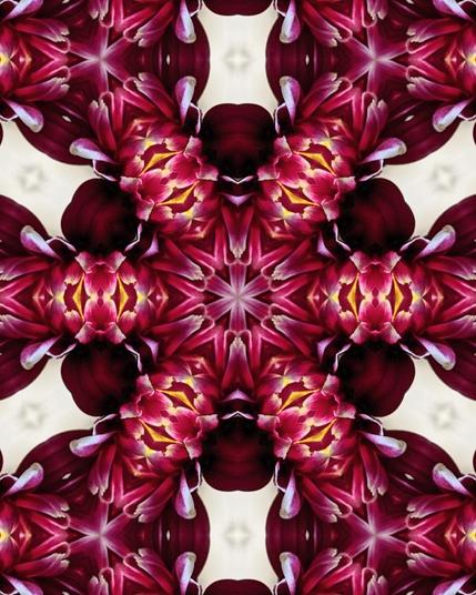 abstract pattern for decoration no meaning