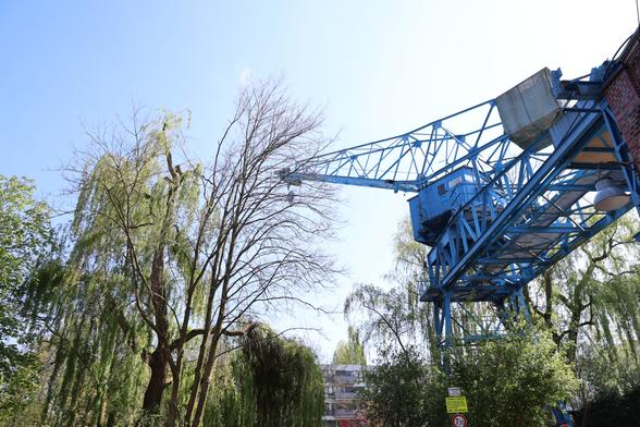 A blue crane with a big driver's cab, surrounded by green trees (weeping willows, I guess).