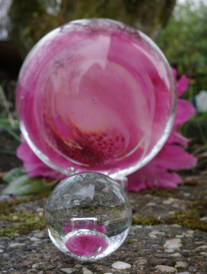 A magenta-coloured rhododendron umbel was subjected to a point reflection using a large glass sphere on a small glass pedestal. A smaller glass sphere in the foreground creates a second point reflection. Tree silhouettes and bright gray sky are also mirrored.