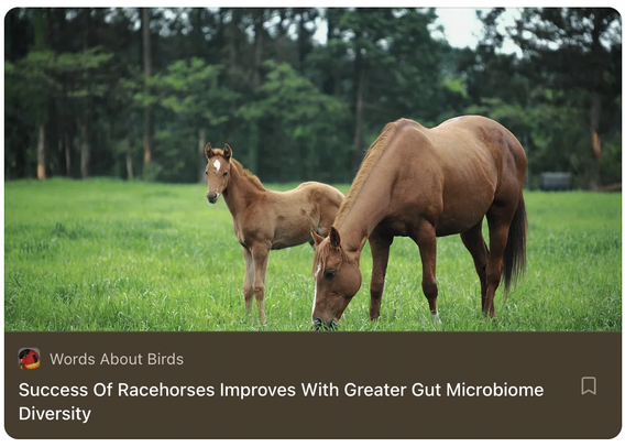a racehorse mare and her foal graze on grass.