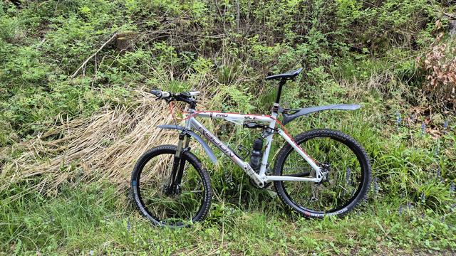 Ein weiß-silbernes 26 Zoll Mountainbike mit roten Schaltzügen und Bremsleitungen steht vor einem Hang im Wald.