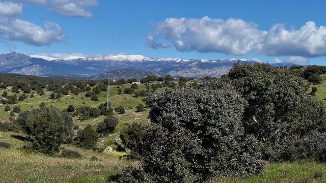 A view out over a lush green valley filled with trees and shrubs towards the snow tipped mountains of the Sierra de Madrid. Atop it all the sky is blue and filled with fluffy white and grey clouds.